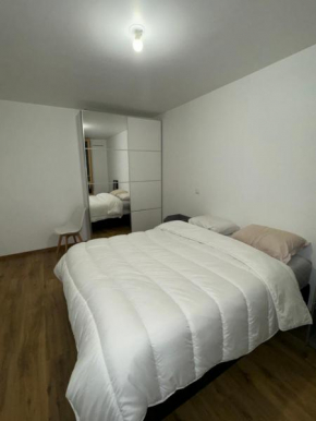Appartement 3 pièce à 15 min de Paris / stade de France